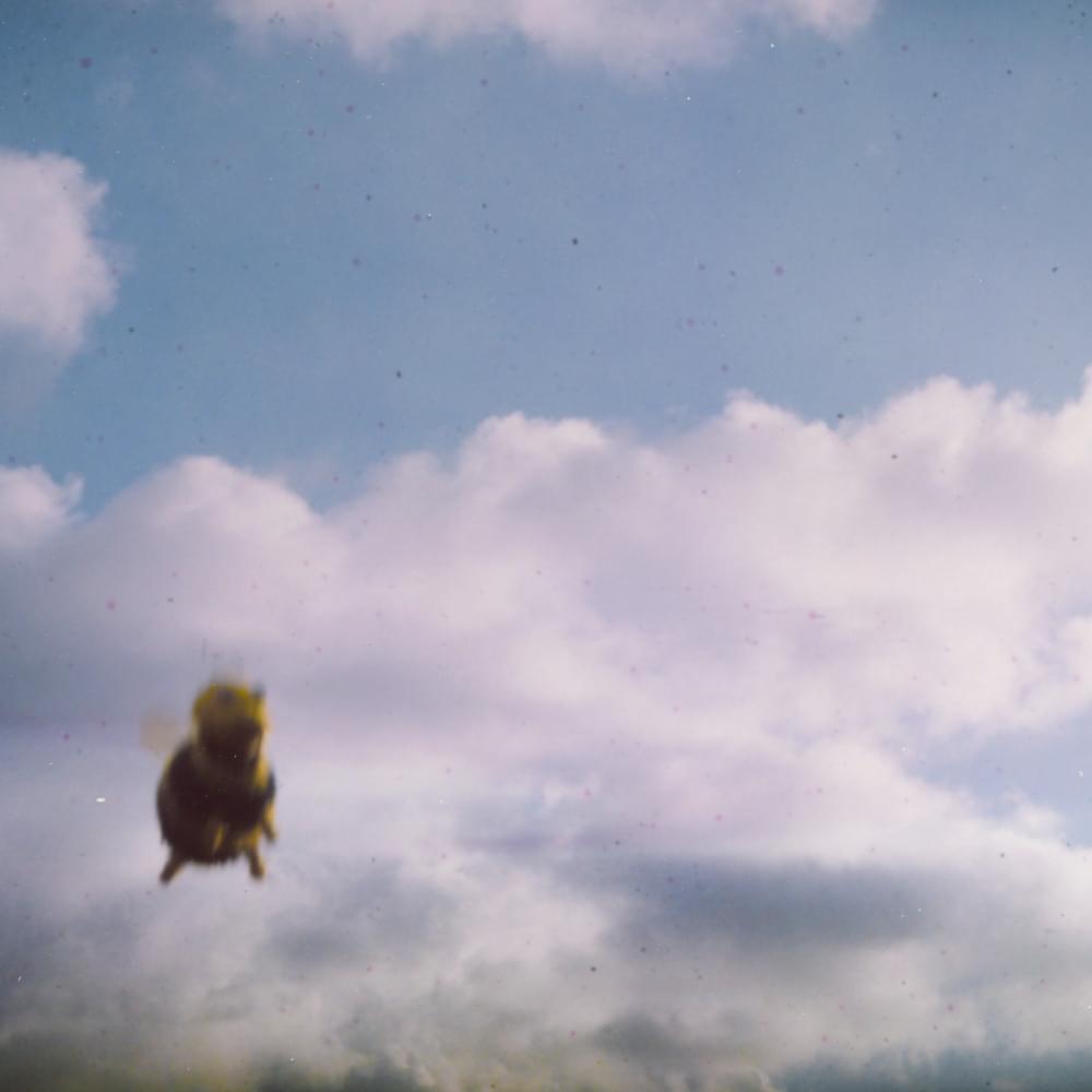 Cover image for Stung!