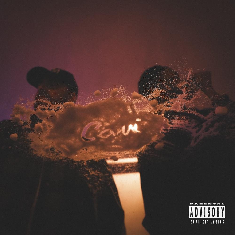 Cover image for Cavi En Cursive