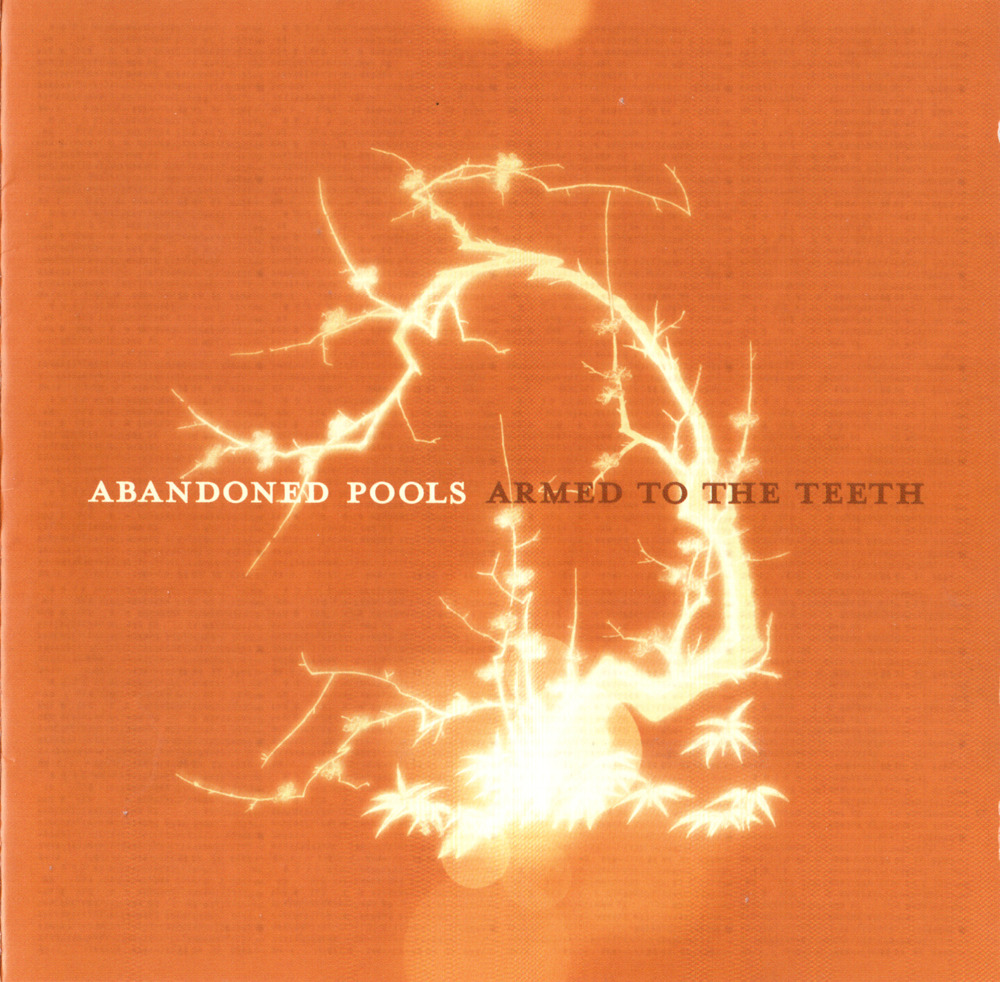 Armed To The Teeth by Abandoned Pools