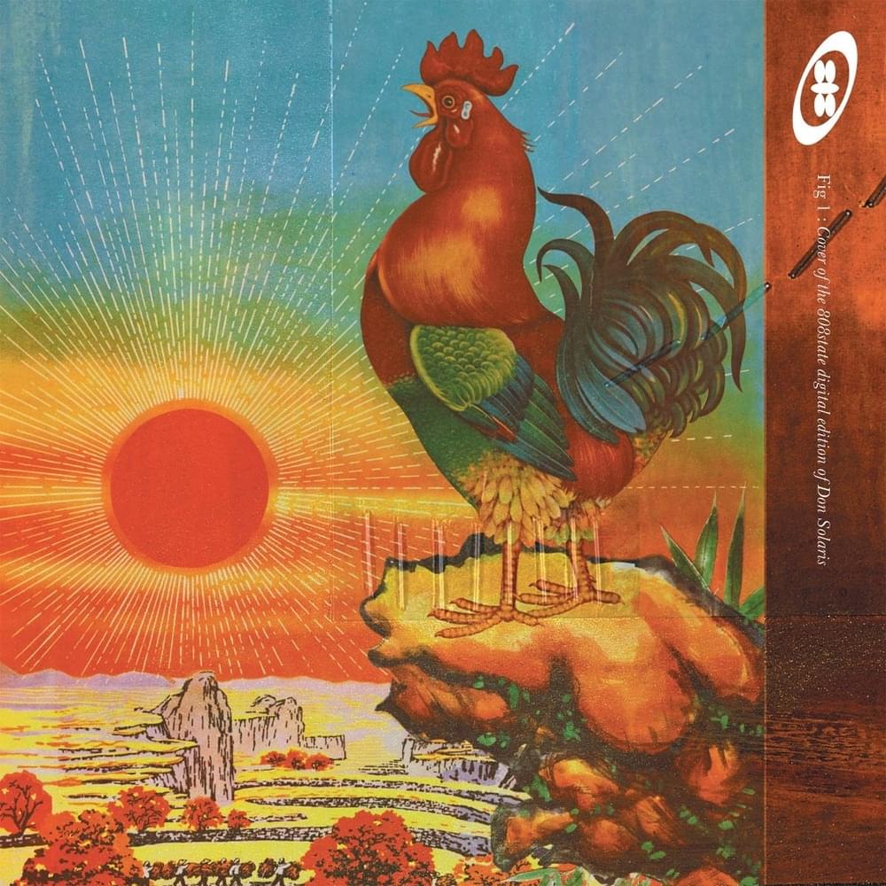 Mooz by 808 State