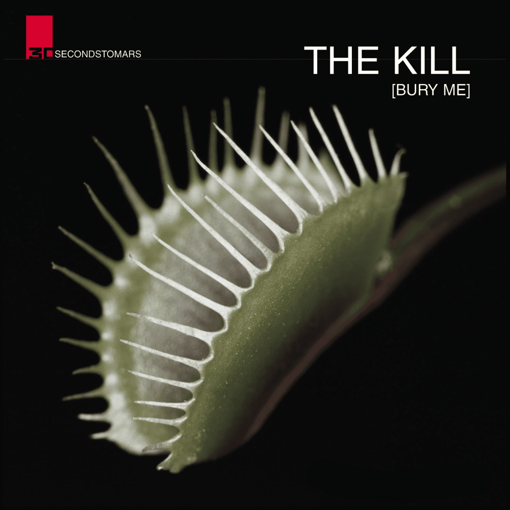 The Kill (Bury Me) by Thirty Seconds to Mars