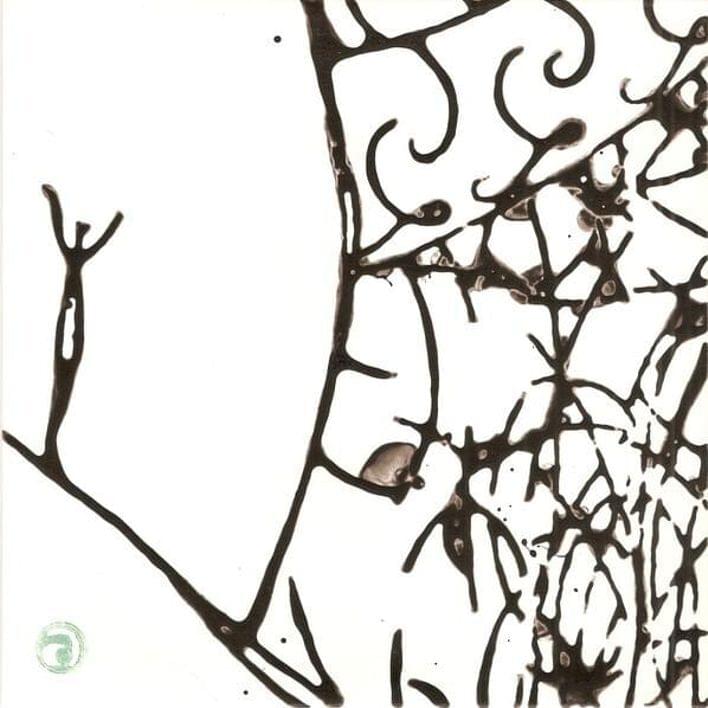Album cover art for "Amongst the Books, An Angel" by Piano Magic & Raechel Leigh