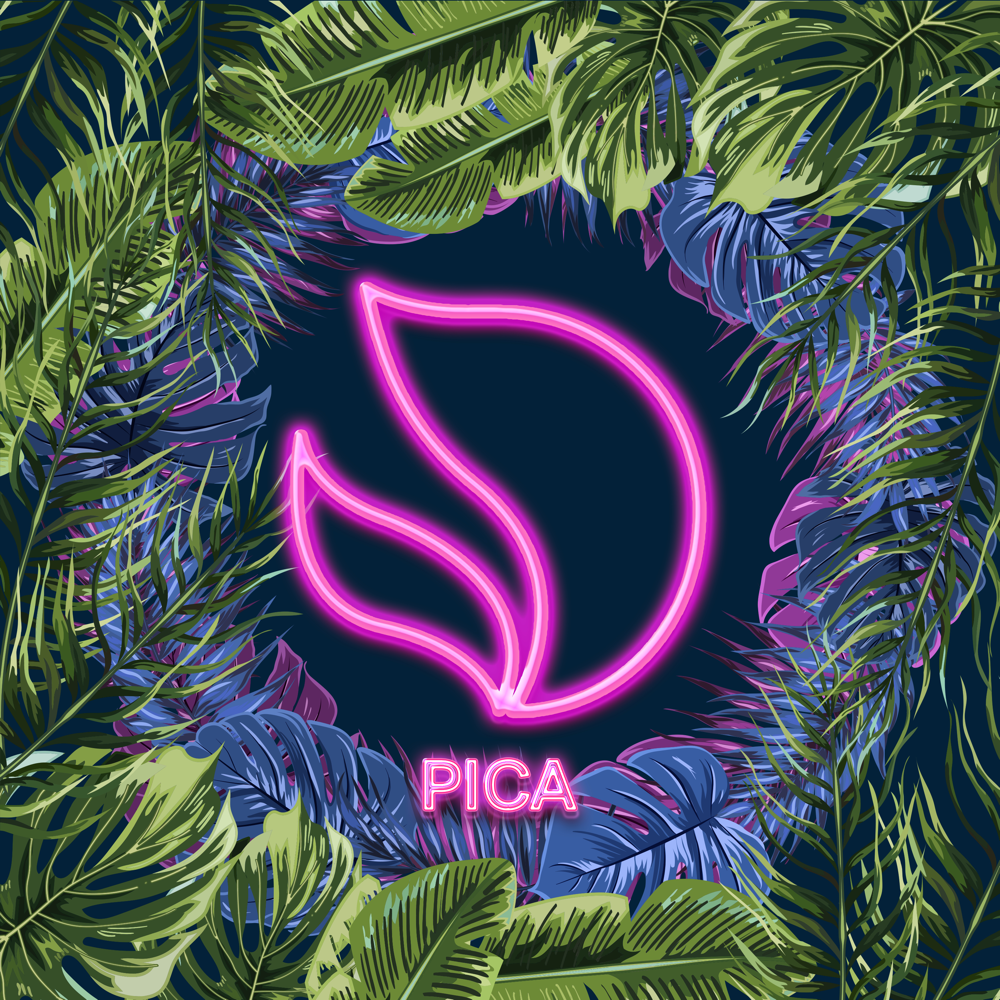 Album cover art for "Pica" by BlocBoy JB