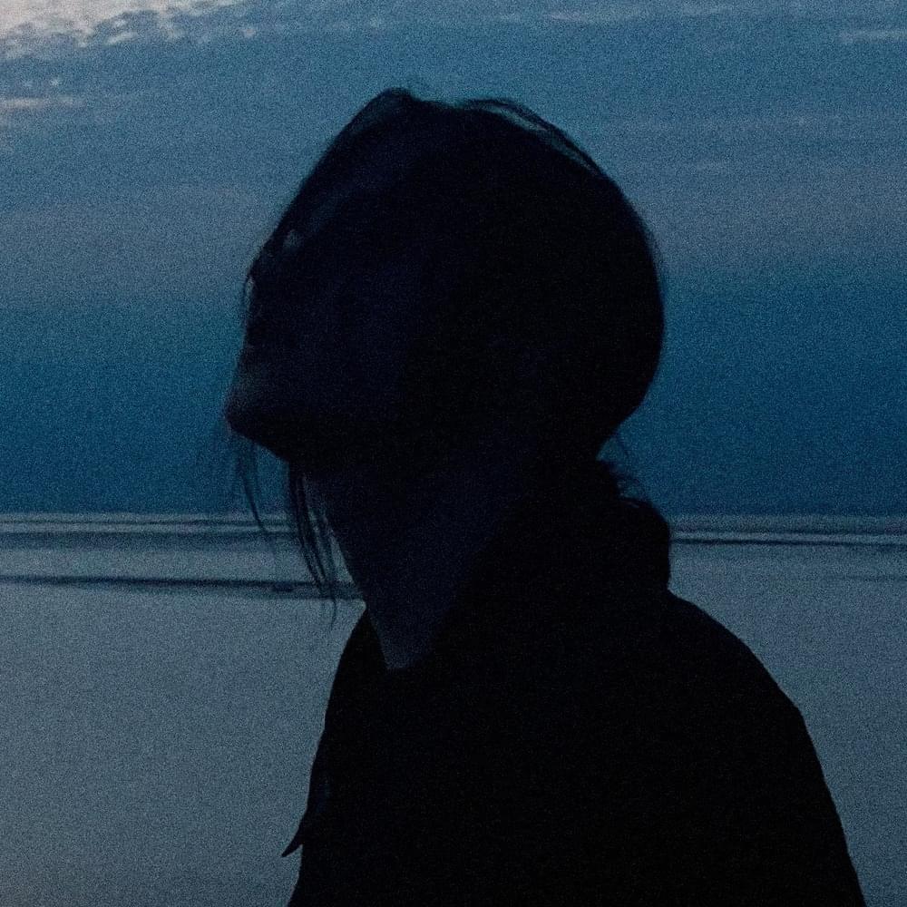 Cover image for WARYKID