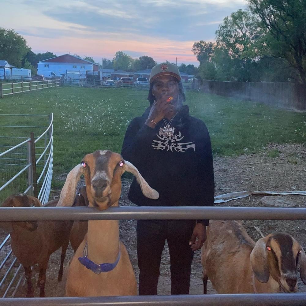 Album cover art for "NUMBER1" by BIGBABYGUCCI