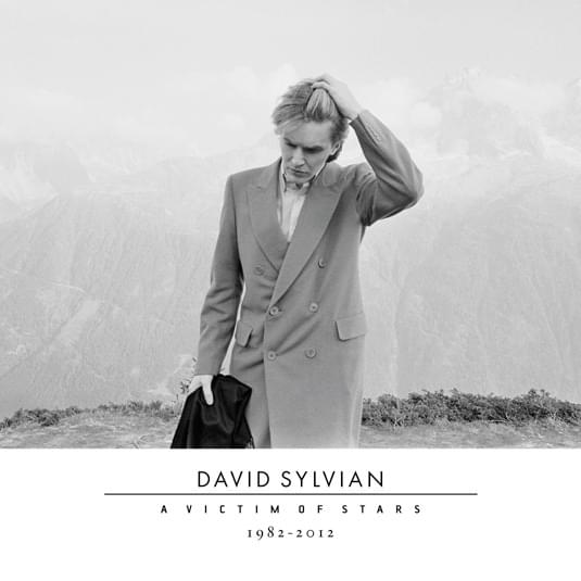 Album cover art for "Wonderful World" by David Sylvian
