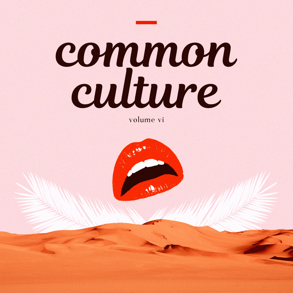 Cover image for Common Culture, Vol. VI