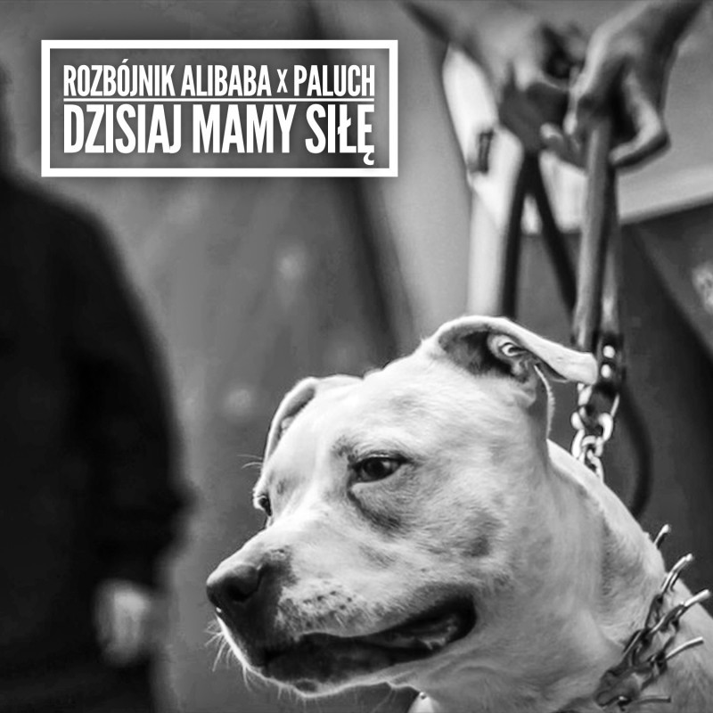 Dzisiaj mamy siłę by Rozbójnik Alibaba