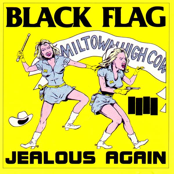 Album cover art for "White Minority" by Black Flag