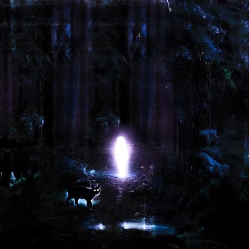 Album cover art for "tweet" by SSGKobe