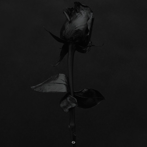 Album cover art for "As Of Late" by Insightful & Naji