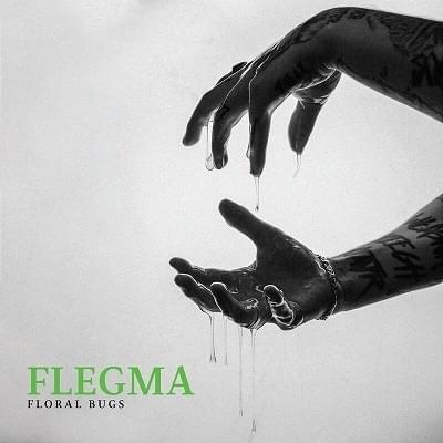 Cover image for Flegma EP