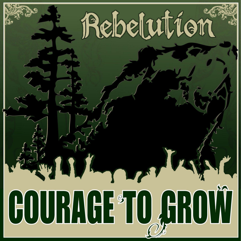 Album cover art for "Heart Like A Lion" by Rebelution