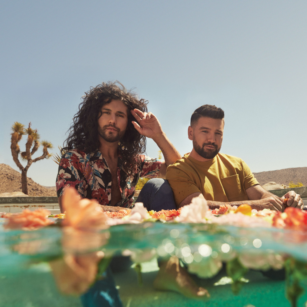 Album cover art for "Irresponsible" by Dan + Shay