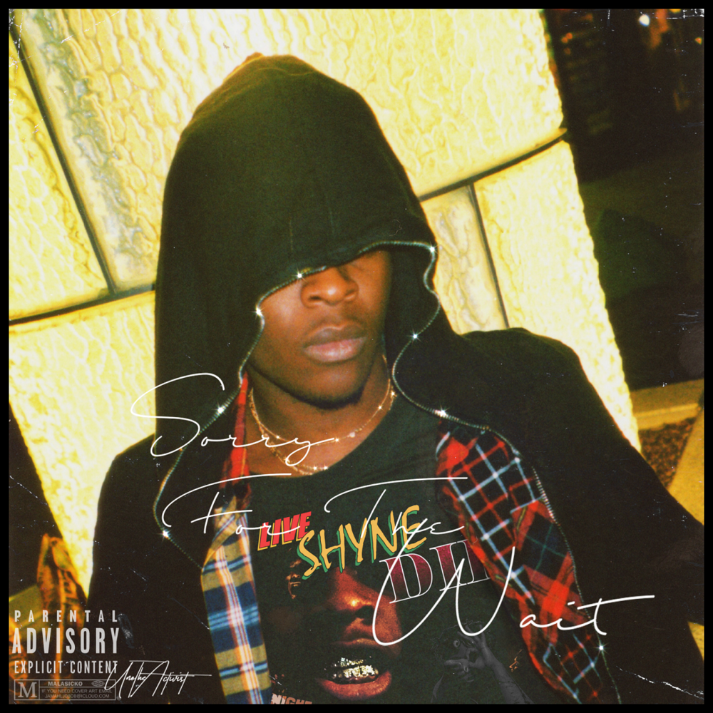 Cover image for Sorry for the Wait (Brooke’s Interlude)
