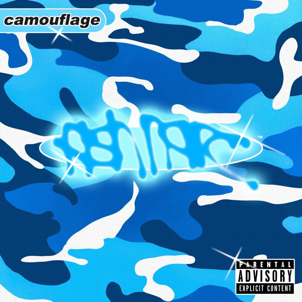 Cover image for Camouflage