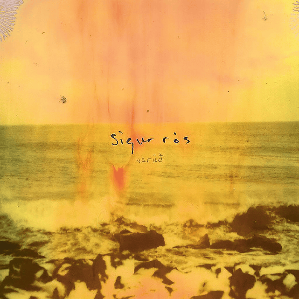 Cover image for Varúð