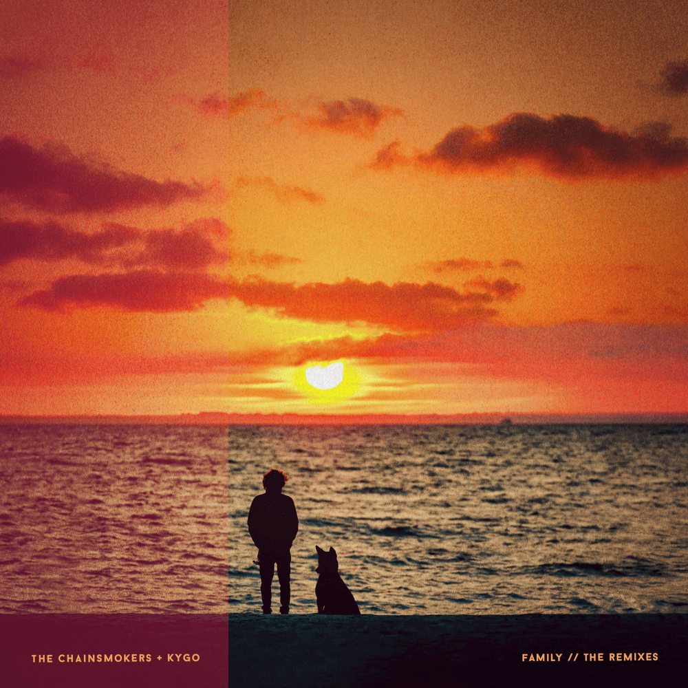 Cover image for Family (Remixes)