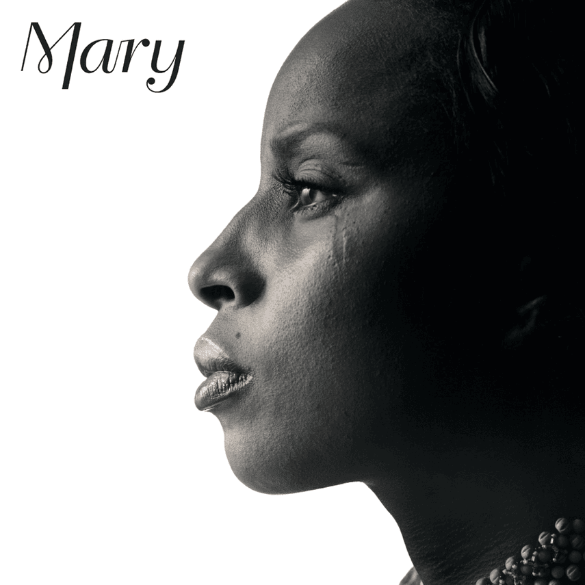 Cover image for Mary (Japanese Edition)
