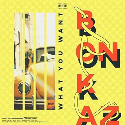 Album cover art for "What You Want" by Bonkaz