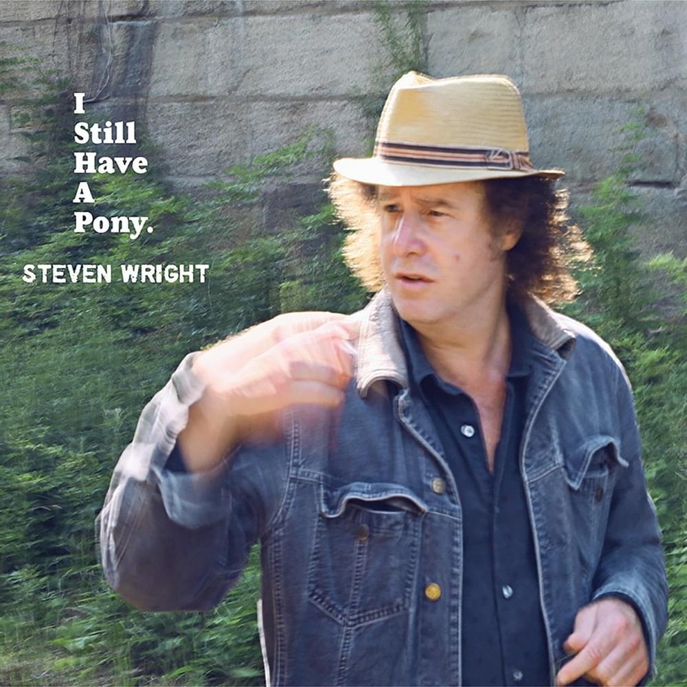 Friends of Mine Song by Steven Wright