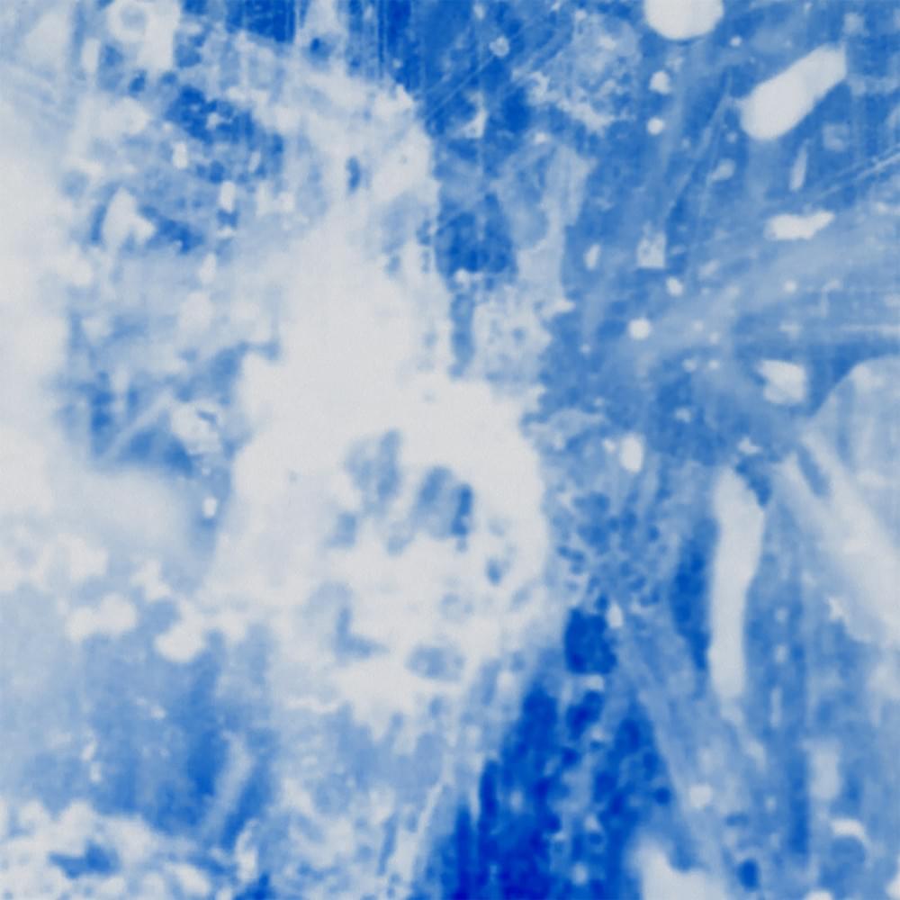 Cover image for Old Bone / Trust No Man - Single