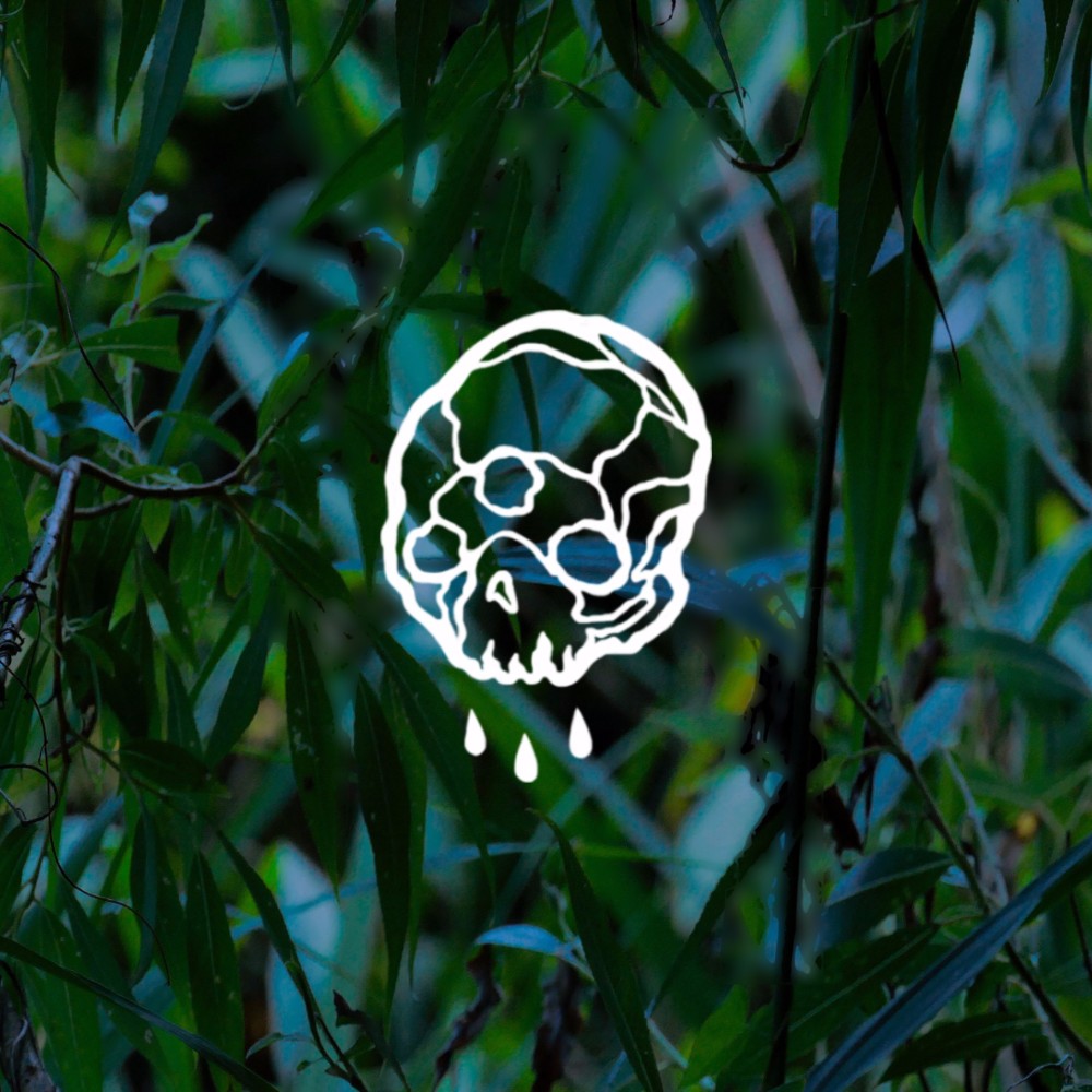 Cover image for Agnozia
