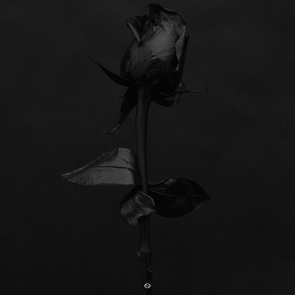 Album cover art for "Murder" by ROMderful & Jarreau Vandal & Emmavie