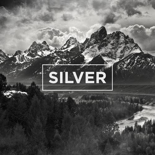 Album cover art for "Silver" by The Neighbourhood