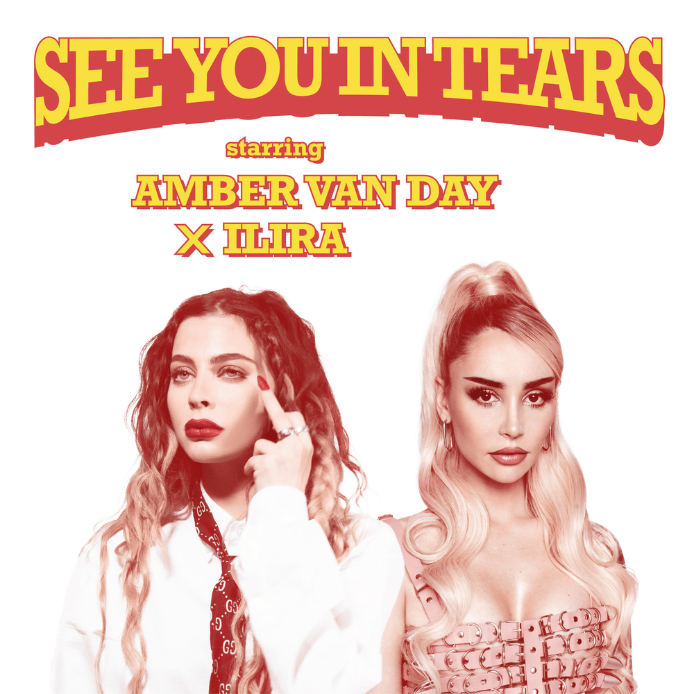 See You In Tears by Amber Van Day