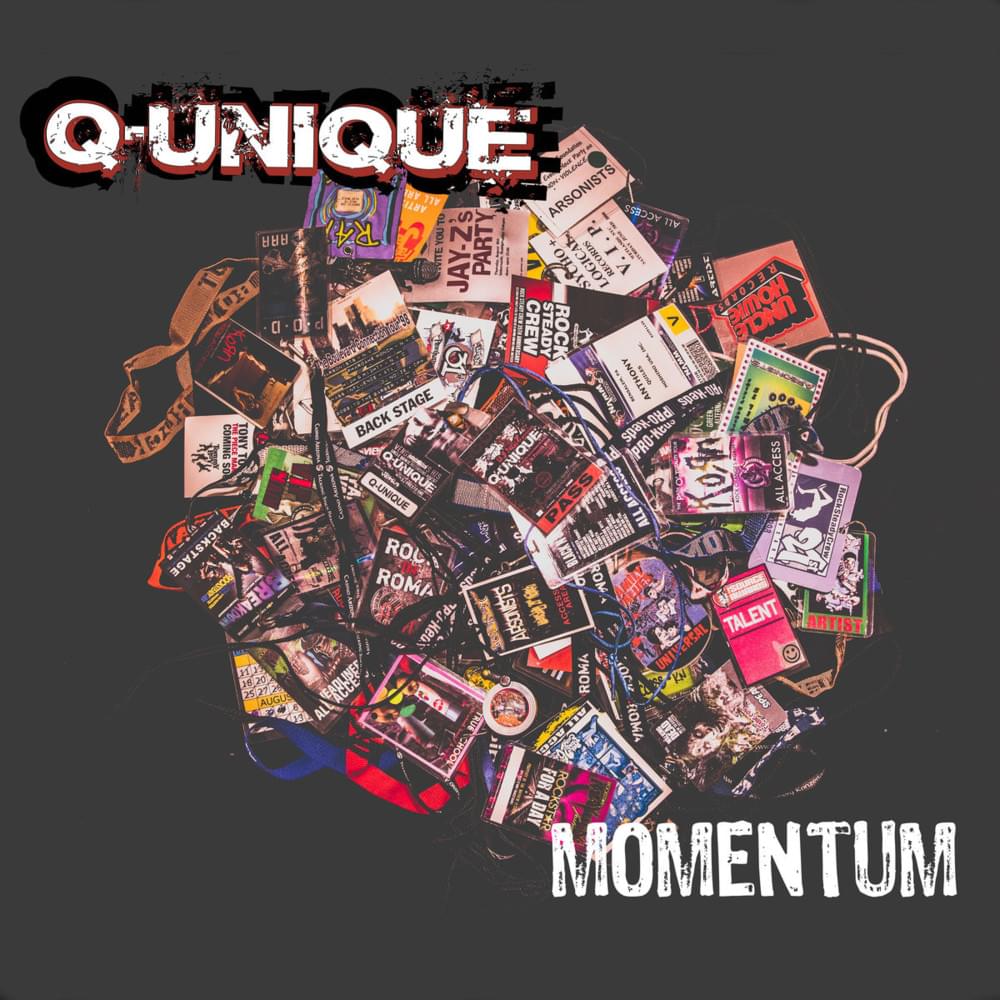 Cover image for Momentum