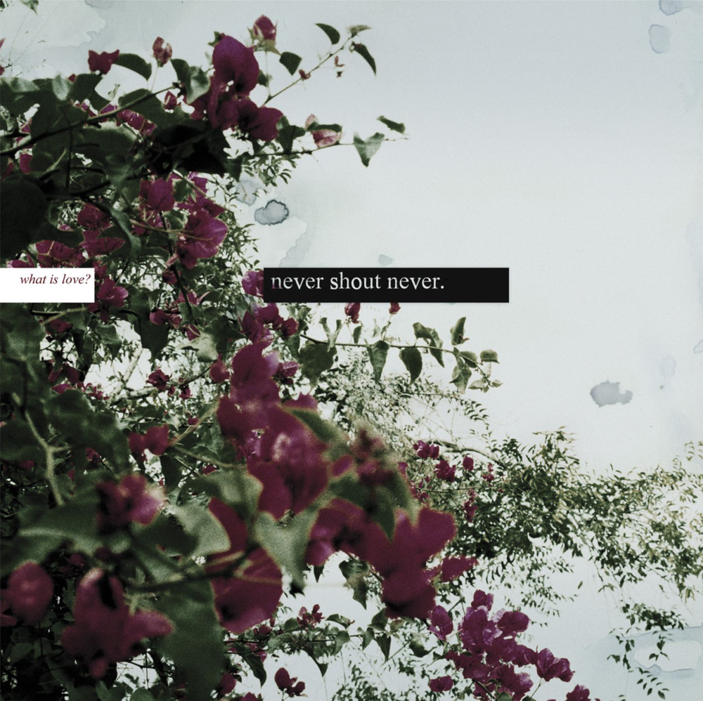 Album cover art for "What Is Love?" by Never Shout Never