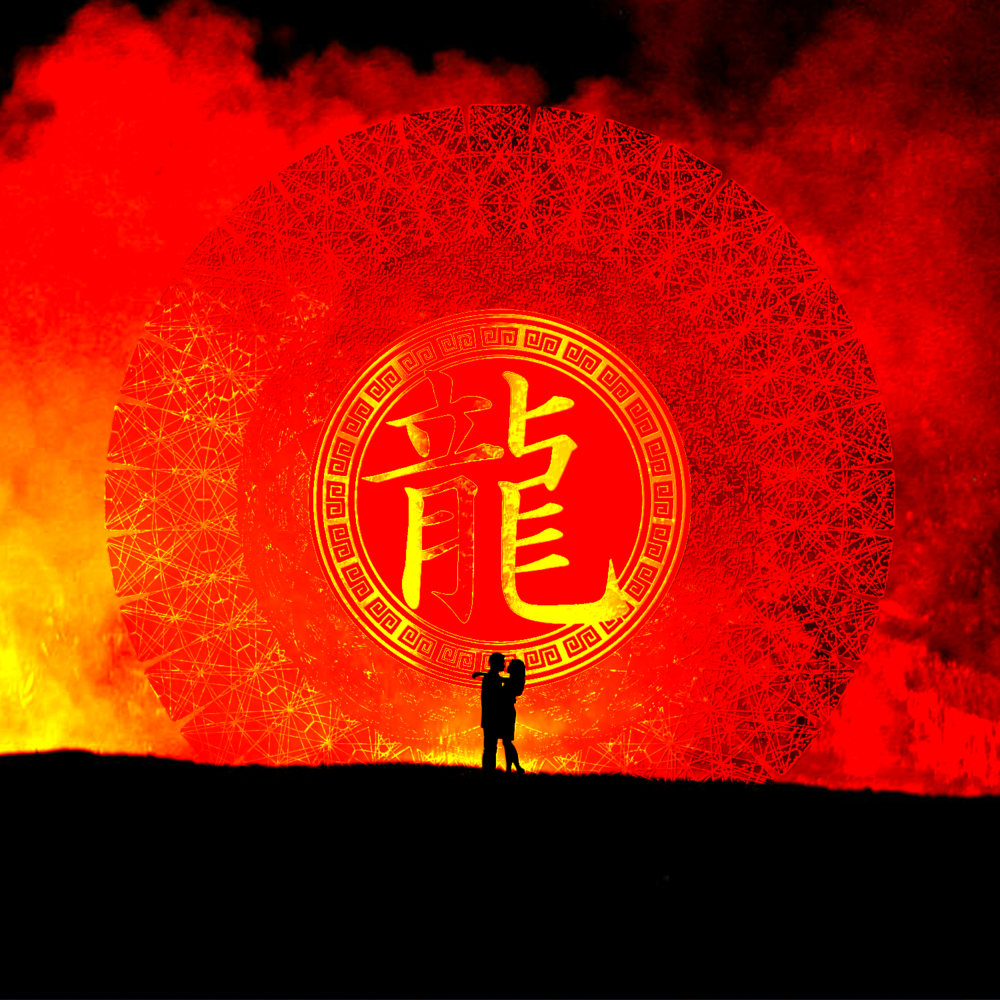 Cover image for Dragon Soul