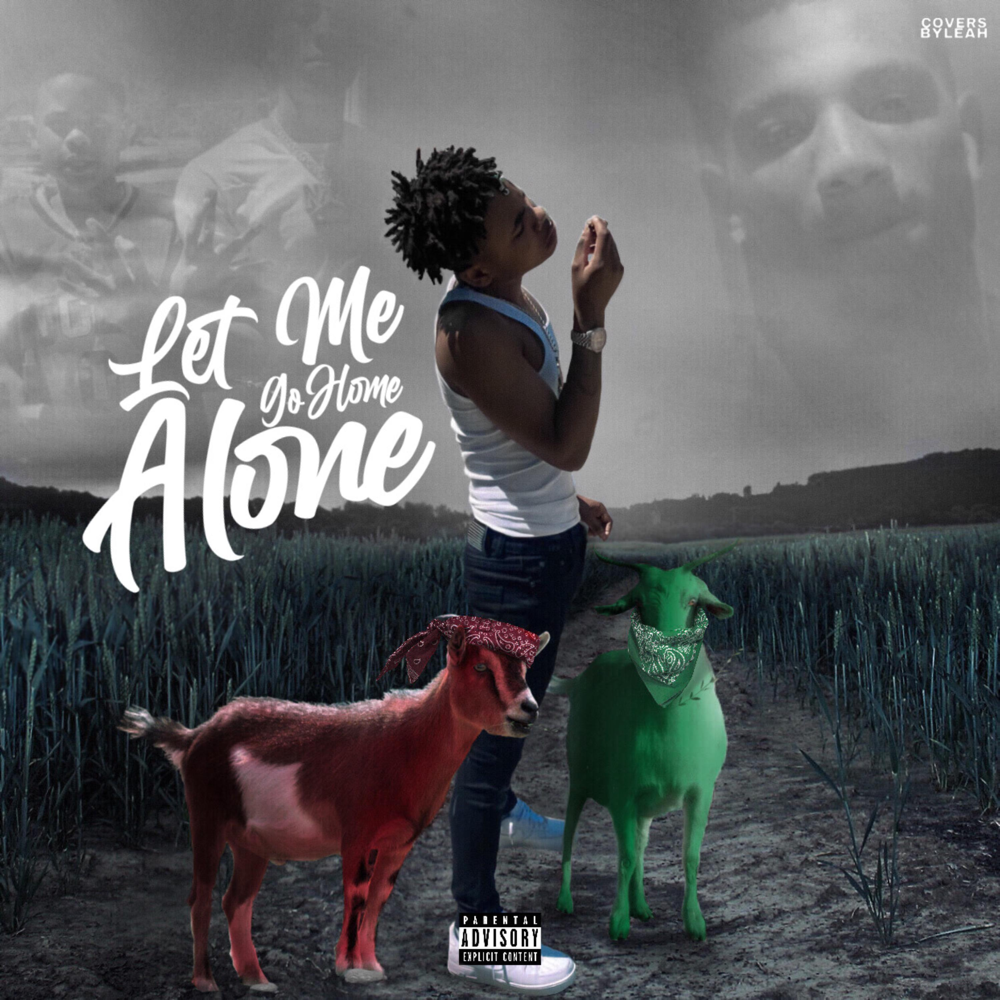 Cover image for Let Me Go Home Alone