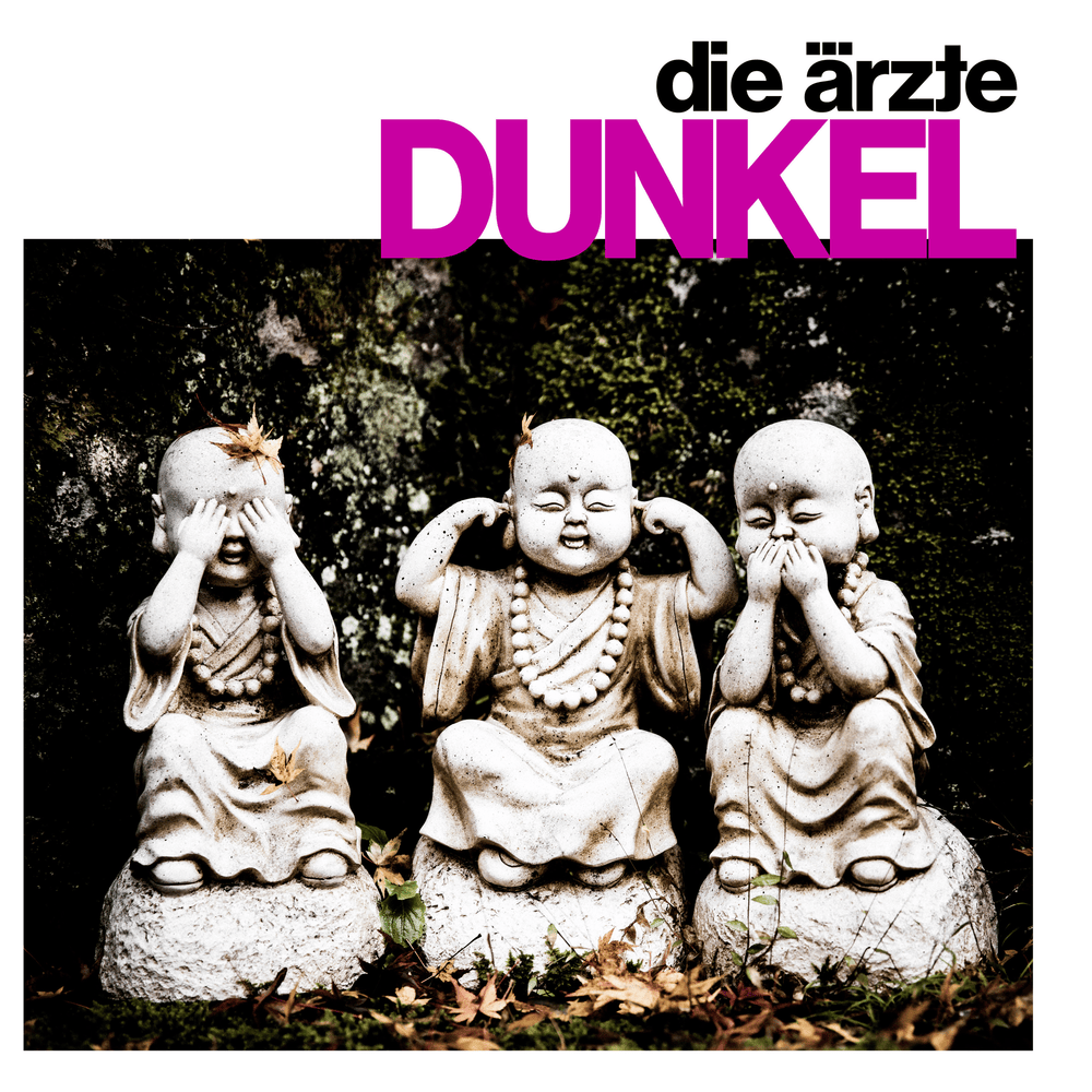 Album cover art for "DUNKEL" by Die Ärzte