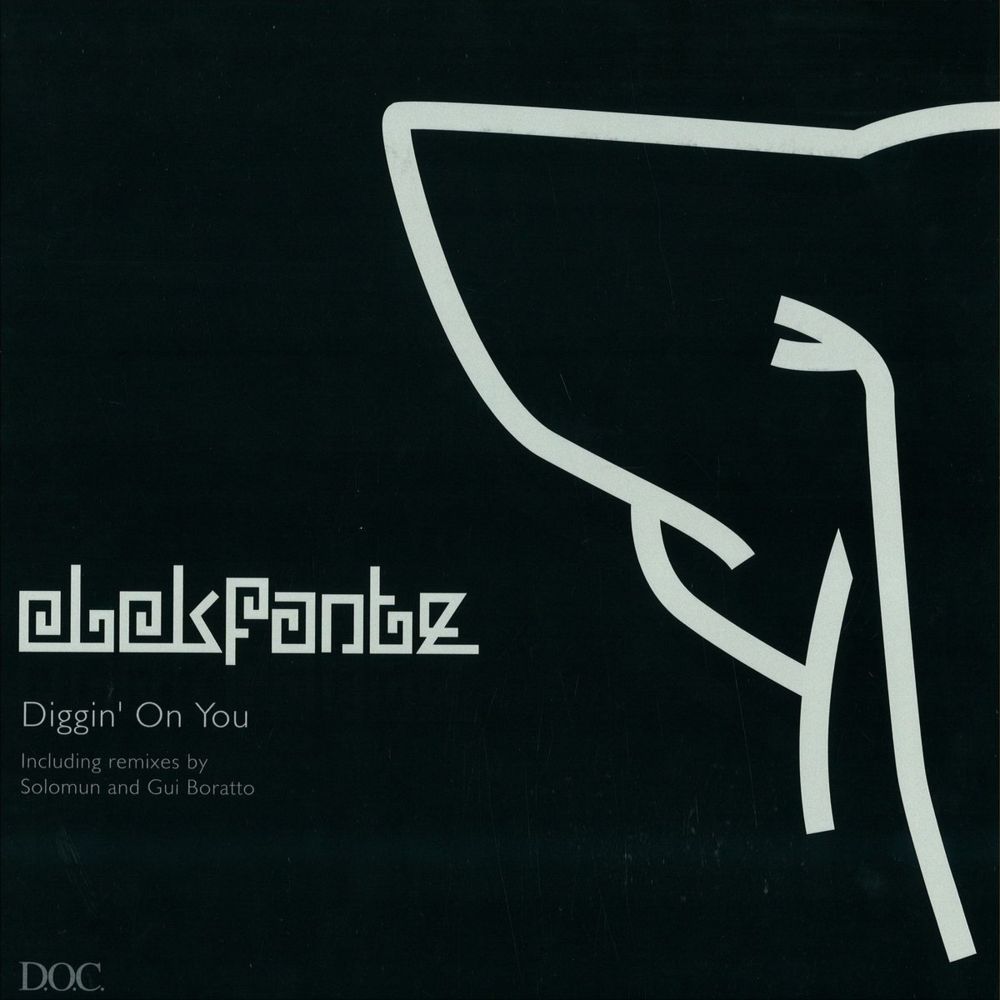 Diggin’ On You by Elekfantz