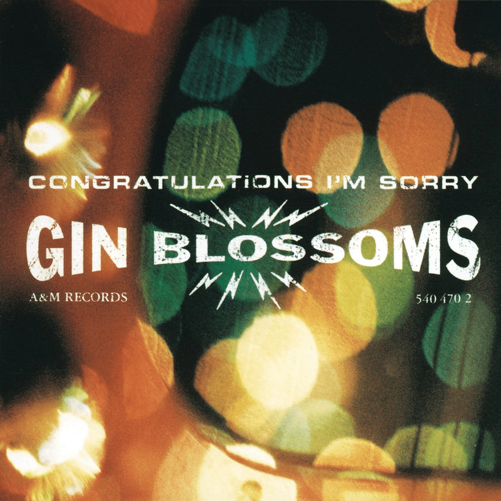 Cover image for Congratulations… I’m Sorry (International Edition)