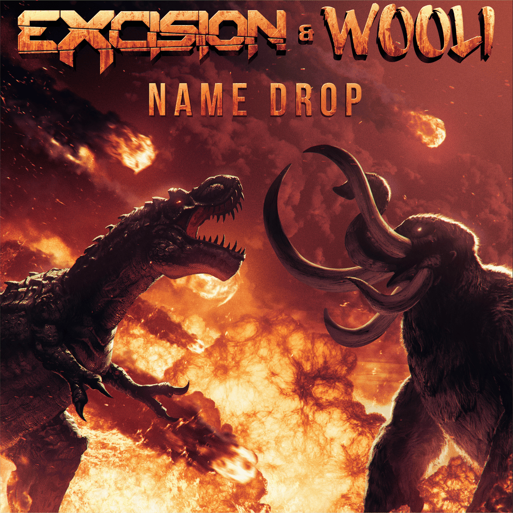 Album cover art for "Name Drop" by Excision
