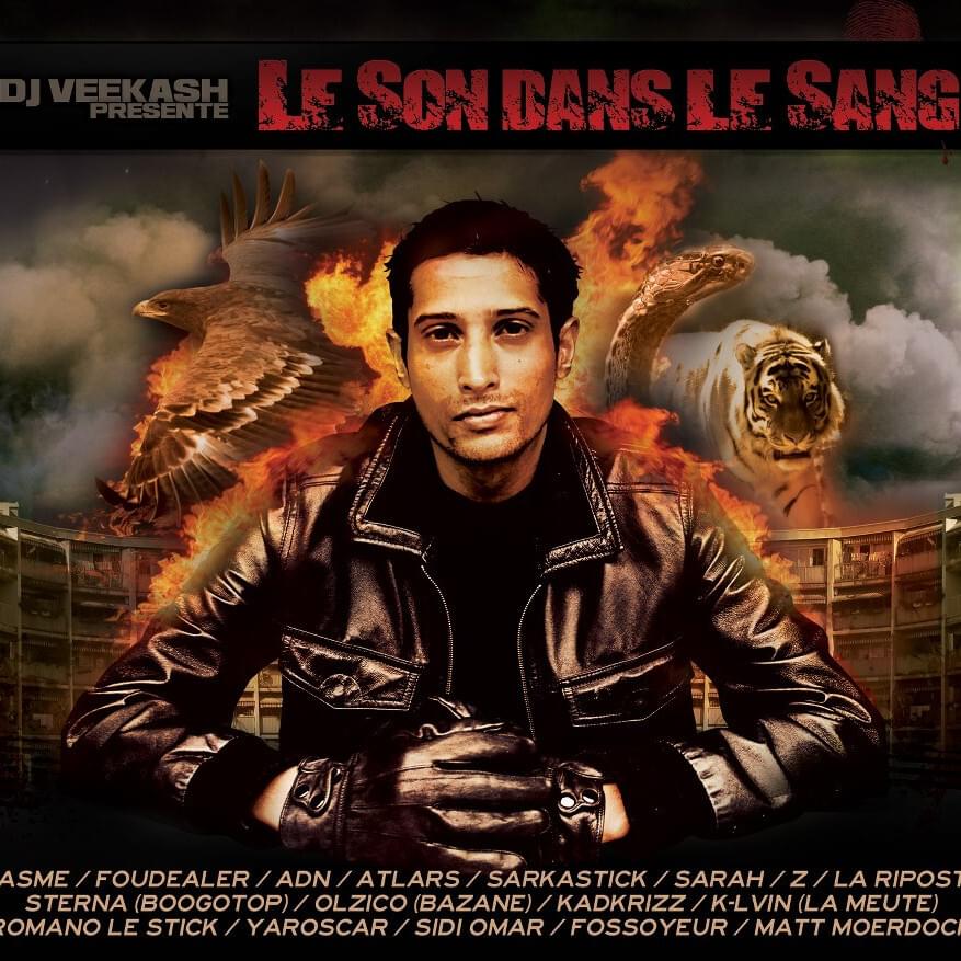 Tu voudrais que je sois quoi by Sterna