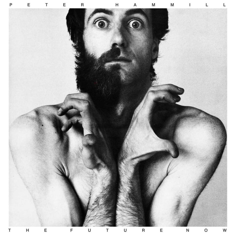 Album cover art for "Pushing Thirty" by Peter Hammill