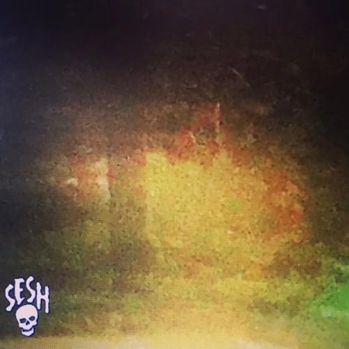 Cover image for Gjennomsiktig EP