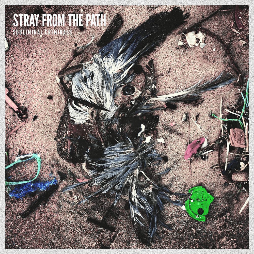 D.I.E.P.I.G by Stray from the Path
