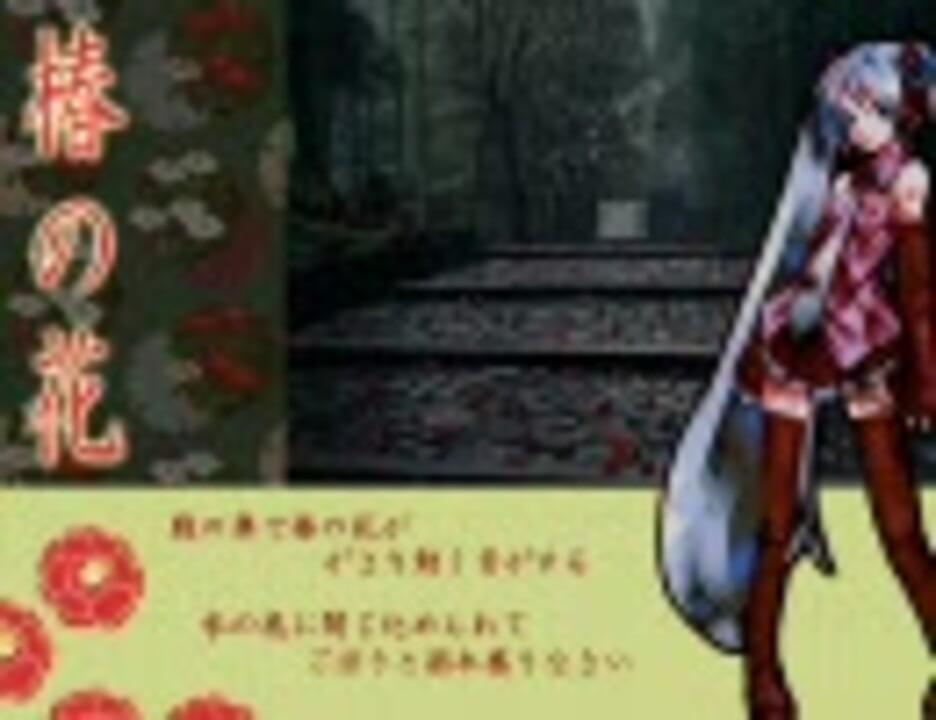 Album cover art for "椿の花 (Tsubaki no Hana)" by デッドボールP (Deadball-P) & 初音ミク (Hatsune Miku)