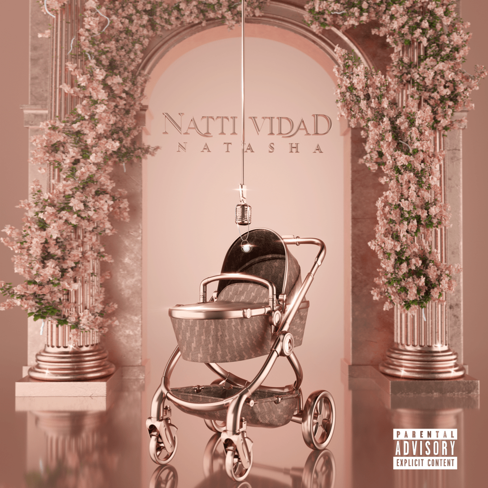 Cover image for NATTIVIDAD
