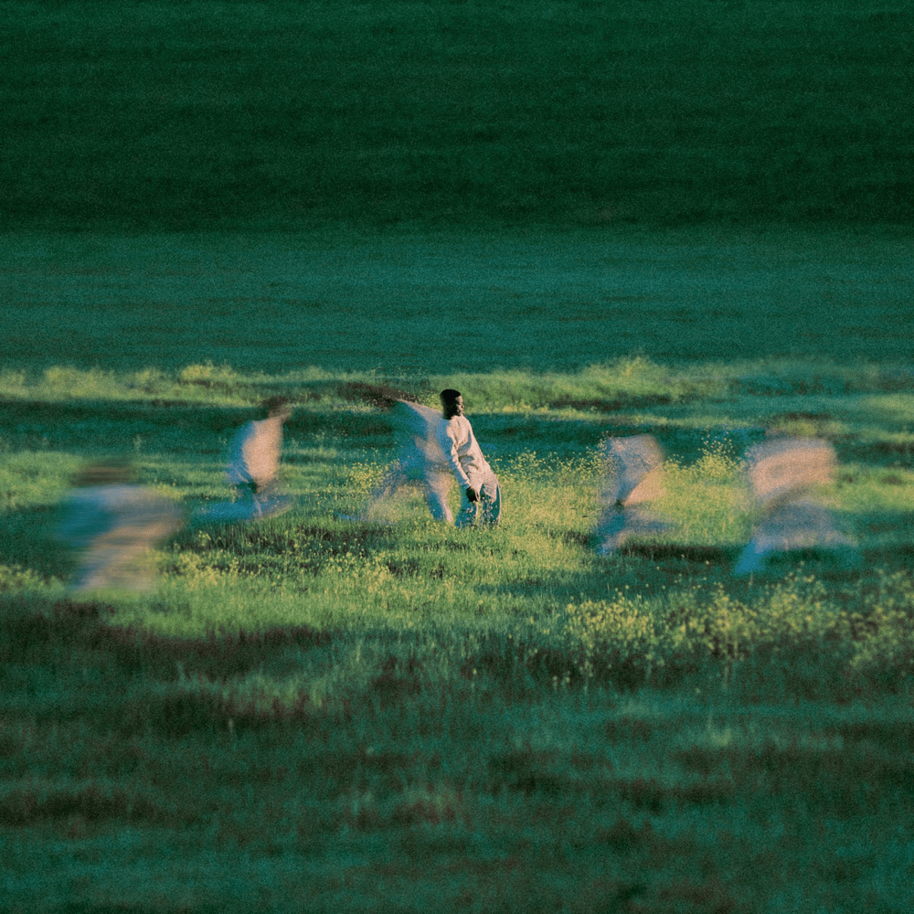 Cover image for To Whom I Belong