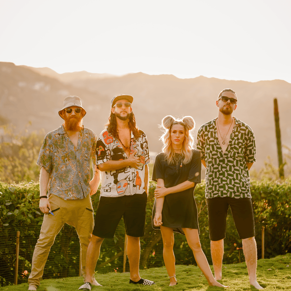 Photo of Walk off the Earth