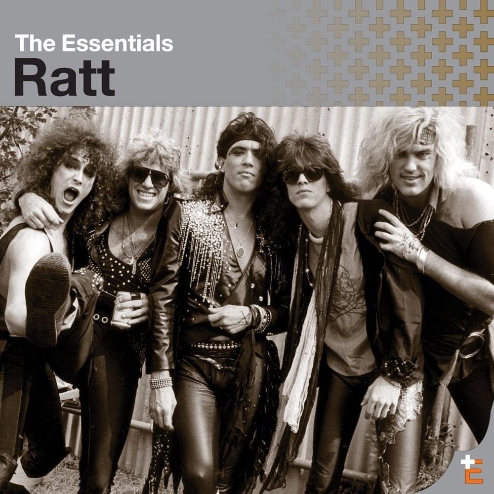Cover image for The Essentials