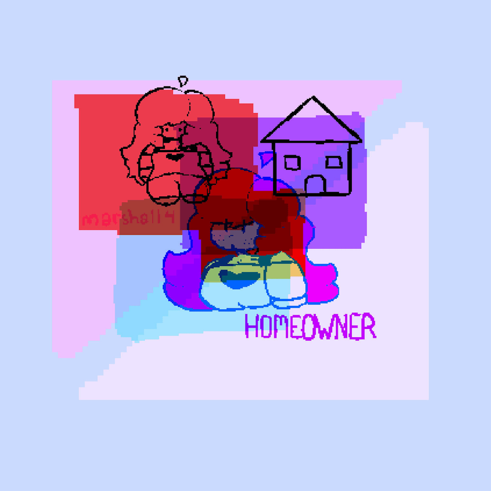 Cover image for HOMEOWNER
