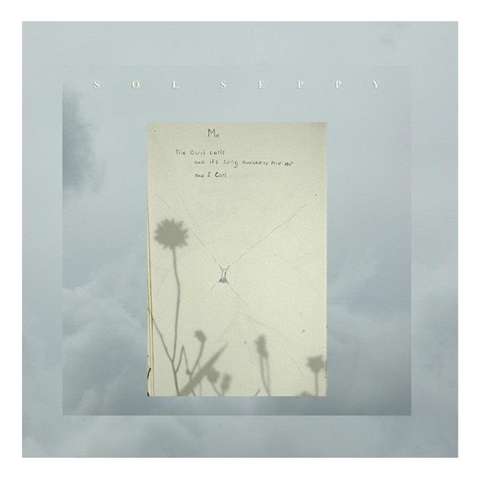 Cover image for The Bird Calls, And Its Song Awakens The Air, And I Call - EP