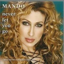 Cover image for Never Let You Go